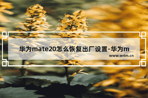 华为mate20怎么恢复出厂设置-华为mate20怎么恢复出厂设置成没成功