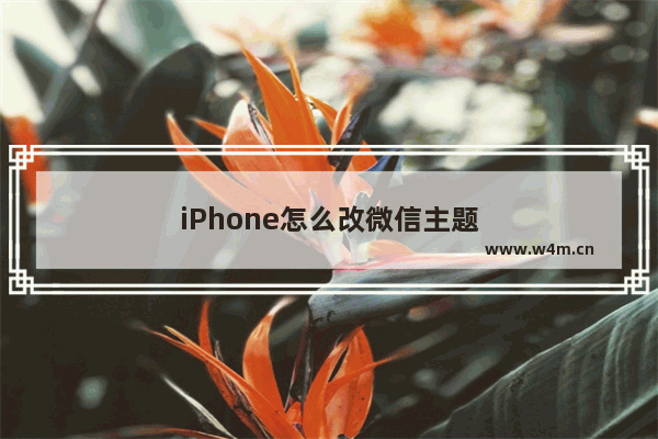 iPhone怎么改微信主题