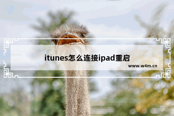 itunes怎么连接ipad重启