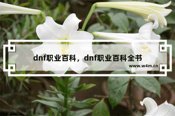 dnf职业百科，dnf职业百科全书