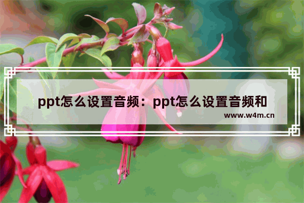 ppt怎么设置音频：ppt怎么设置音频和动画同步