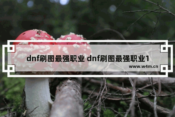 dnf刷图最强职业 dnf刷图最强职业17173