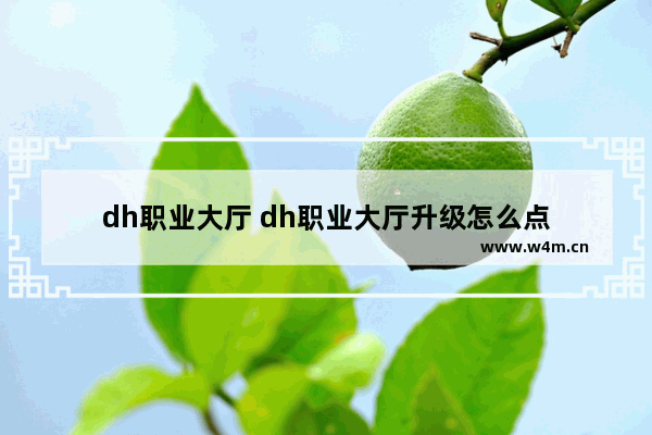 dh职业大厅 dh职业大厅升级怎么点