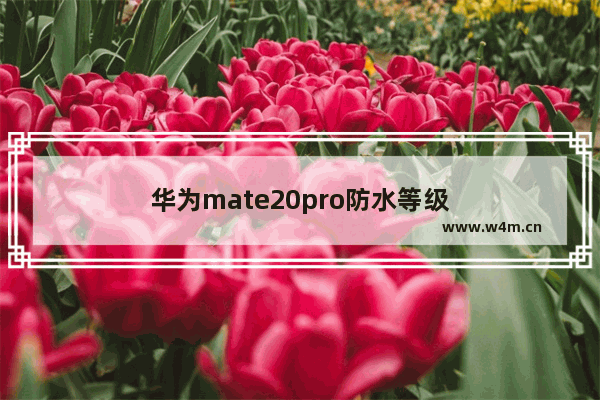 华为mate20pro防水等级