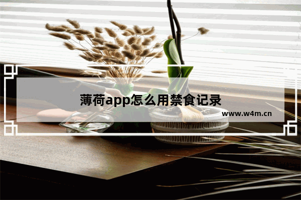 薄荷app怎么用禁食记录