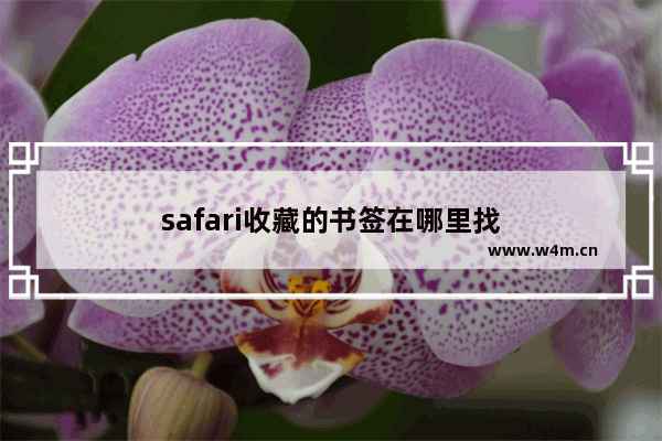 safari收藏的书签在哪里找