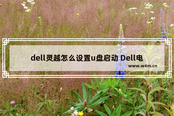 dell灵越怎么设置u盘启动 Dell电脑如何设置U盘启动