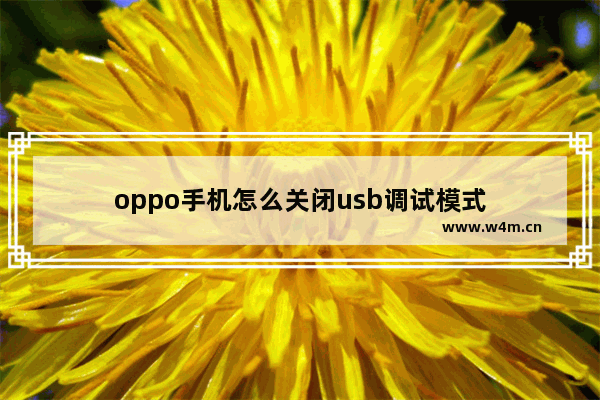 oppo手机怎么关闭usb调试模式