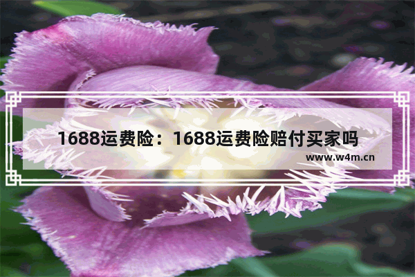 1688运费险：1688运费险赔付买家吗