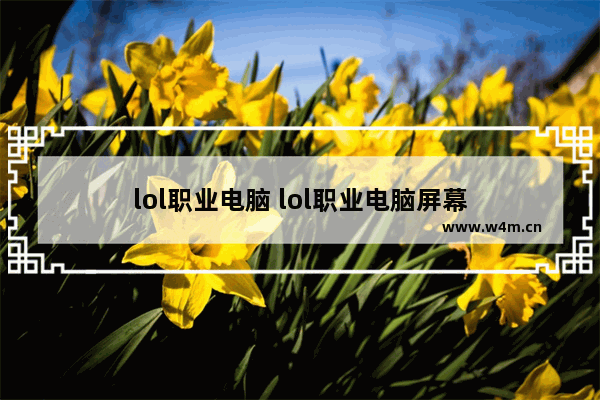 lol职业电脑 lol职业电脑屏幕