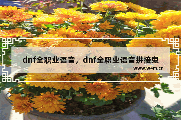 dnf全职业语音，dnf全职业语音拼接鬼畜