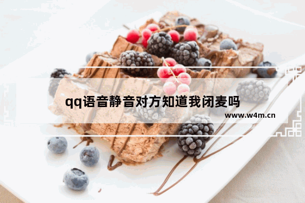 qq语音静音对方知道我闭麦吗