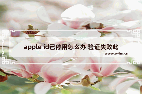 apple id已停用怎么办 验证失败此apple id已停用怎么办