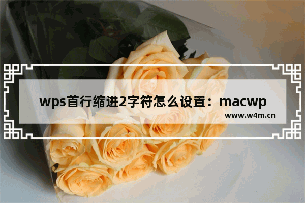 wps首行缩进2字符怎么设置：macwps首行缩进2字符怎么设置