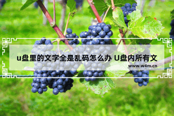 u盘里的文字全是乱码怎么办 U盘内所有文字变成乱码了，怎么办？