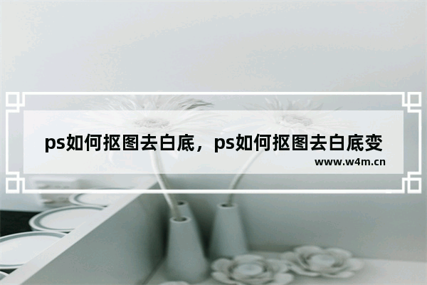 ps如何抠图去白底，ps如何抠图去白底变透明底