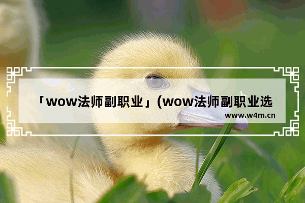 「wow法师副职业」(wow法师副职业选择)