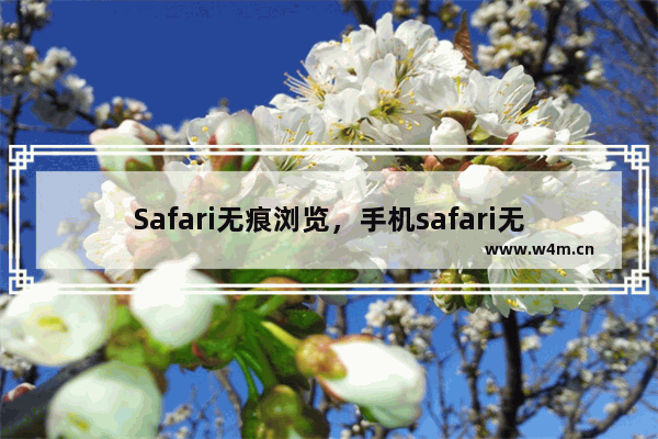 Safari无痕浏览，手机safari无痕浏览能找到记录吗