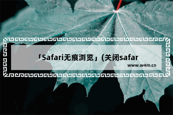 「Safari无痕浏览」(关闭safari无痕浏览模式)