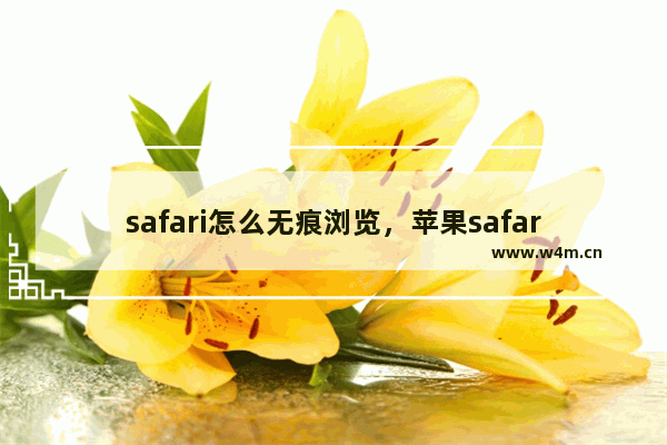 safari怎么无痕浏览，苹果safari怎么无痕浏览