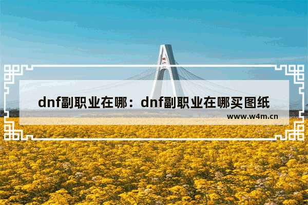 dnf副职业在哪：dnf副职业在哪买图纸