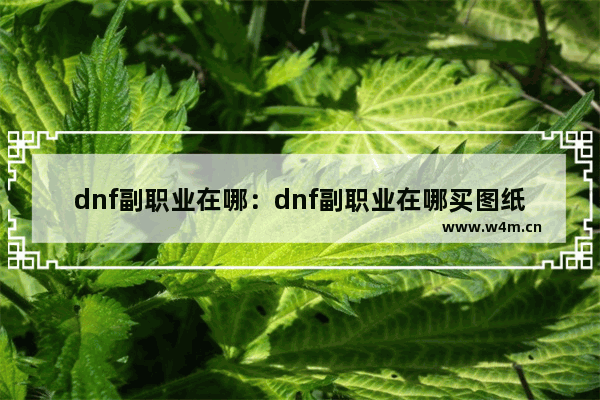 dnf副职业在哪：dnf副职业在哪买图纸