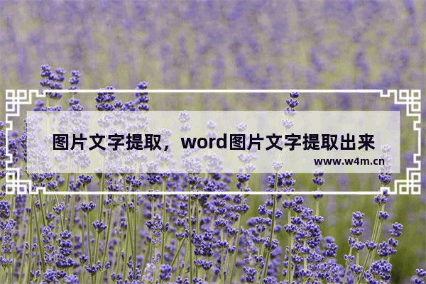 图片文字提取，word图片文字提取出来