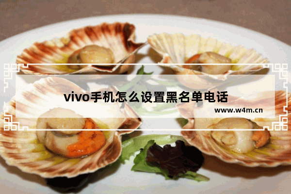 vivo手机怎么设置黑名单电话