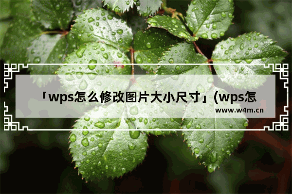 「wps怎么修改图片大小尺寸」(wps怎么修改图片大小尺寸px)