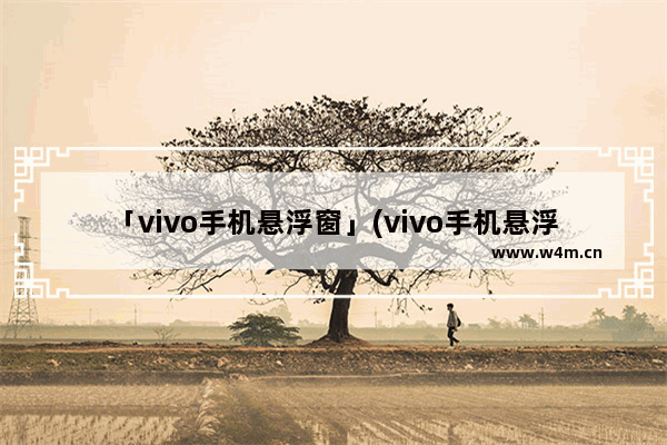 「vivo手机悬浮窗」(vivo手机悬浮窗怎么变大变小)