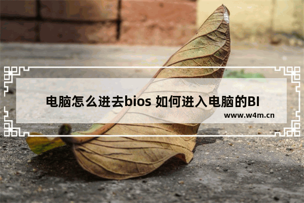 电脑怎么进去bios 如何进入电脑的BIOS设置