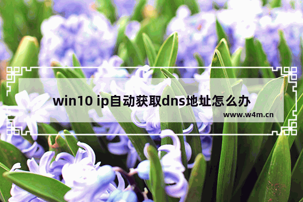 win10 ip自动获取dns地址怎么办 Win10自动获取IP无法解析DNS怎么办