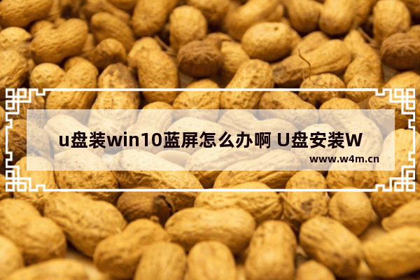 u盘装win10蓝屏怎么办啊 U盘安装Windows 10蓝屏解决方案