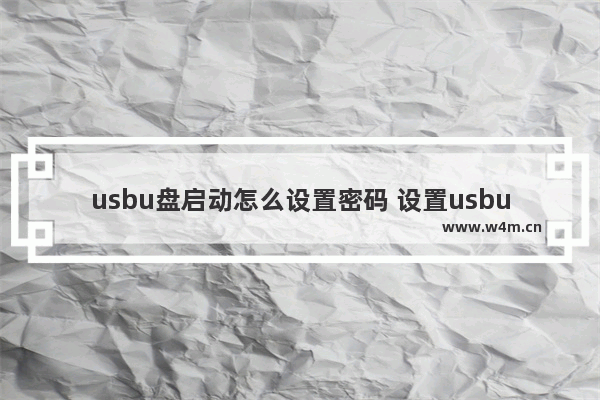 usbu盘启动怎么设置密码 设置usbu盘启动密码方法