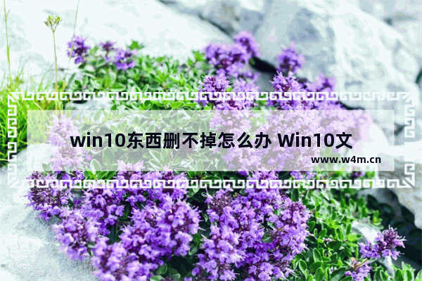 win10东西删不掉怎么办 Win10文件删除困扰？试试这个方法！