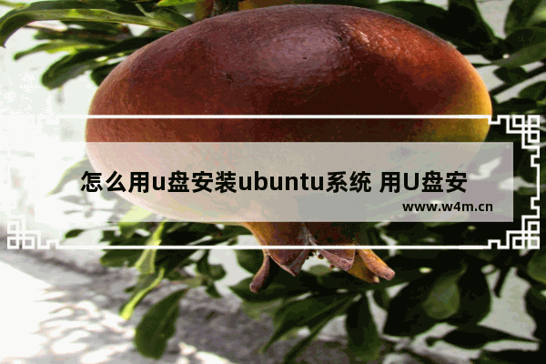 怎么用u盘安装ubuntu系统 用U盘安装Ubuntu系统的方法