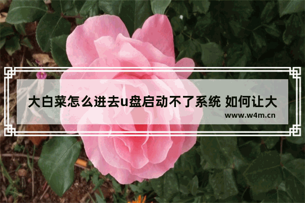 大白菜怎么进去u盘启动不了系统 如何让大白菜进入U盘启动系统