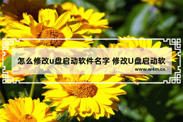 怎么修改u盘启动软件名字 修改U盘启动软件名称的方法