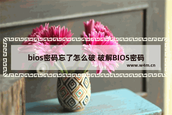 bios密码忘了怎么破 破解BIOS密码的方法与步骤