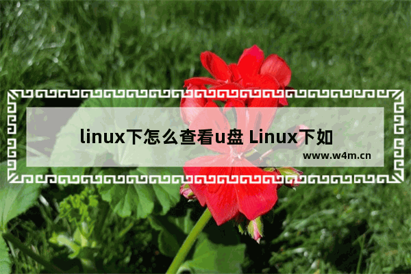 linux下怎么查看u盘 Linux下如何查看U盘