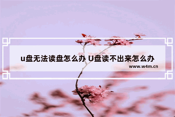 u盘无法读盘怎么办 U盘读不出来怎么办