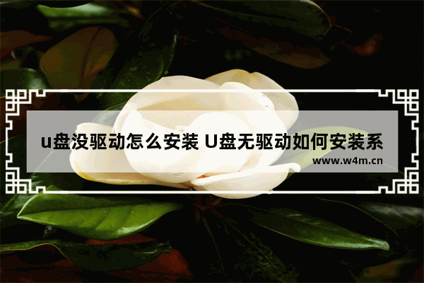 u盘没驱动怎么安装 U盘无驱动如何安装系统