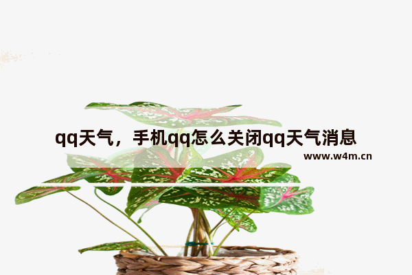 qq天气，手机qq怎么关闭qq天气消息