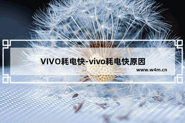 VIVO耗电快-vivo耗电快原因