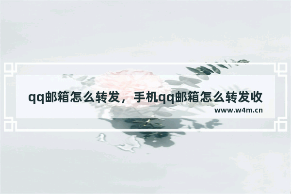 qq邮箱怎么转发，手机qq邮箱怎么转发收到的邮件