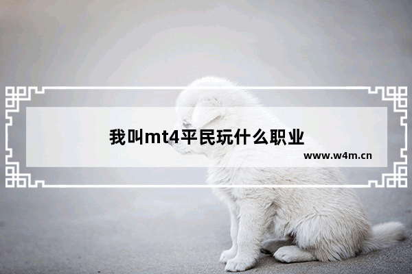 我叫mt4平民玩什么职业