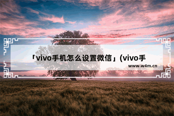 「vivo手机怎么设置微信」(vivo手机怎么设置微信铃声自定义)