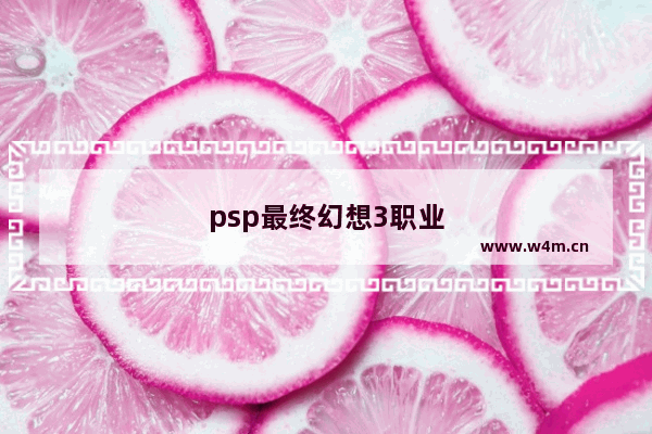 psp最终幻想3职业