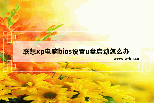 联想xp电脑bios设置u盘启动怎么办 如何设置联想XP电脑U盘启动