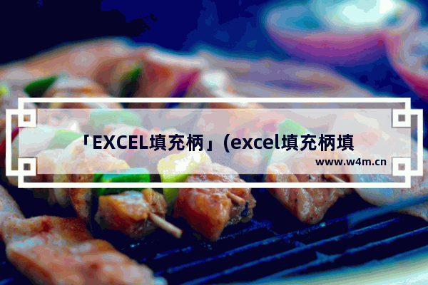 「EXCEL填充柄」(excel填充柄填充序列)